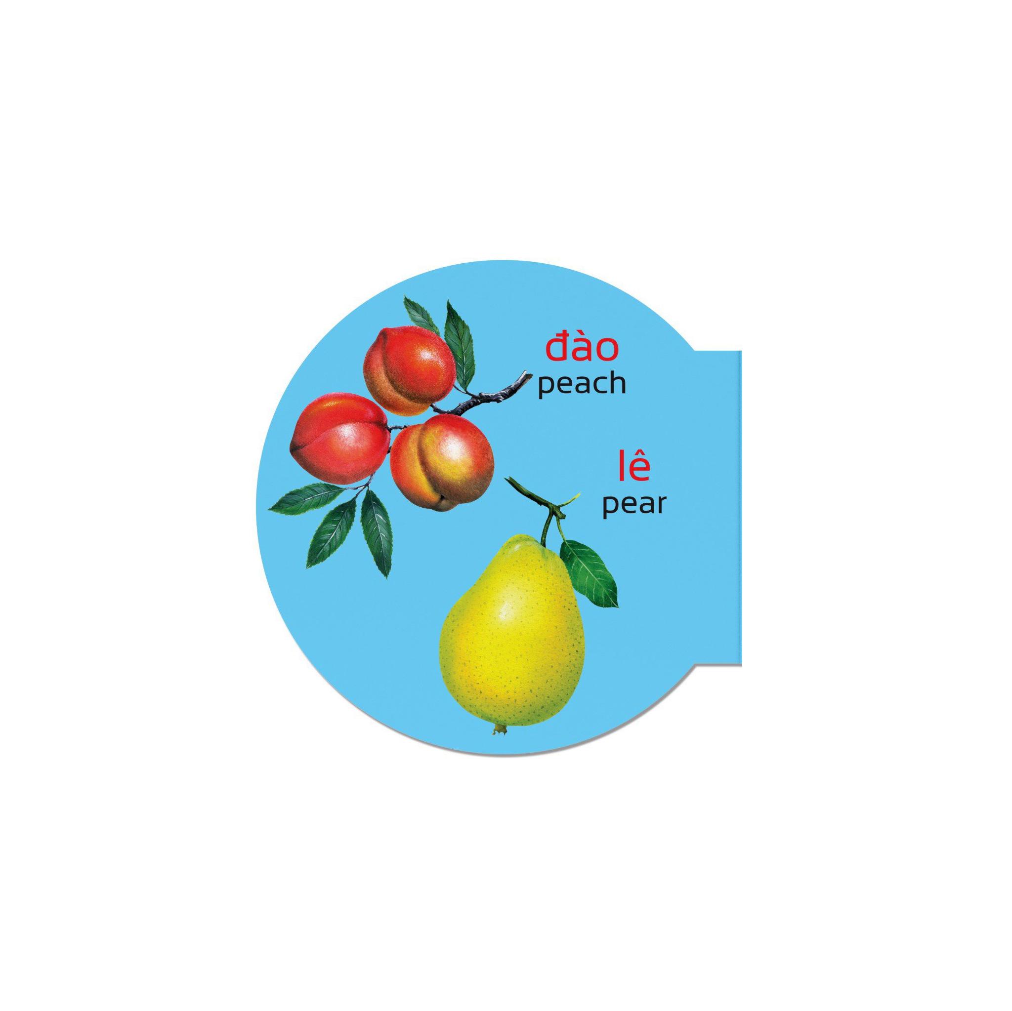 Picture Dictionary - Từ Điển Bằng Hình - Fruits - Các Loại Trái Cây - Bìa Cứng