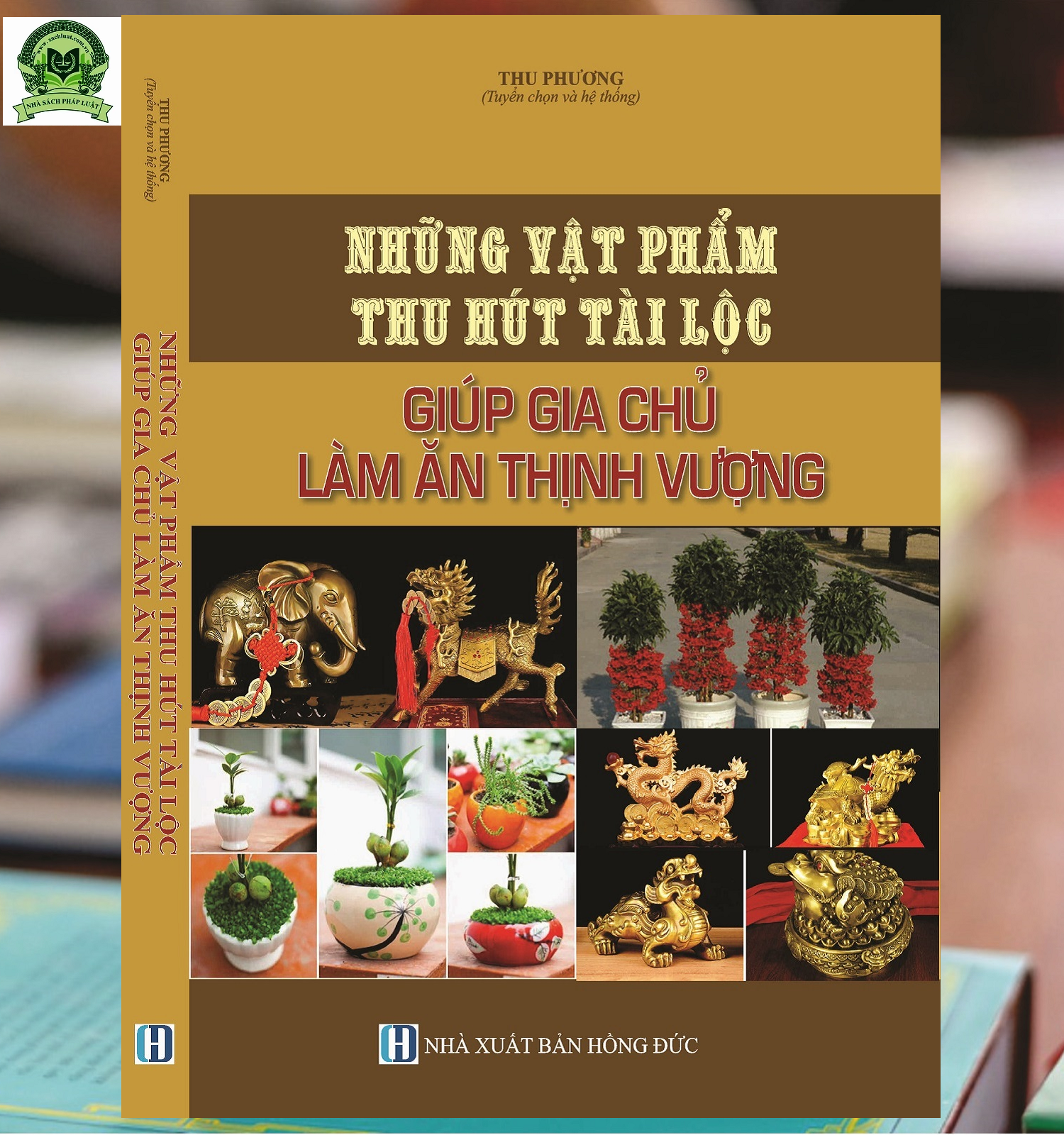 Những Vật Phẩm Thu Hút Tài Lộc Giúp Gia Chủ Làm Ăn Thịnh Vượng