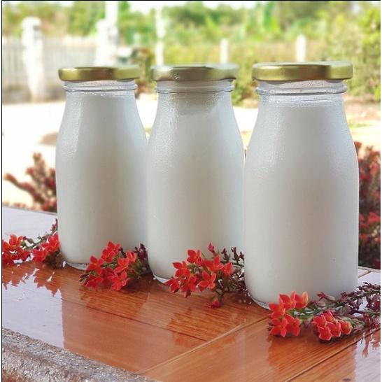 Combo 10 Chai Thủy Tinh Đựng Sữa Hạt | Thực Phẩm ( 200ML)