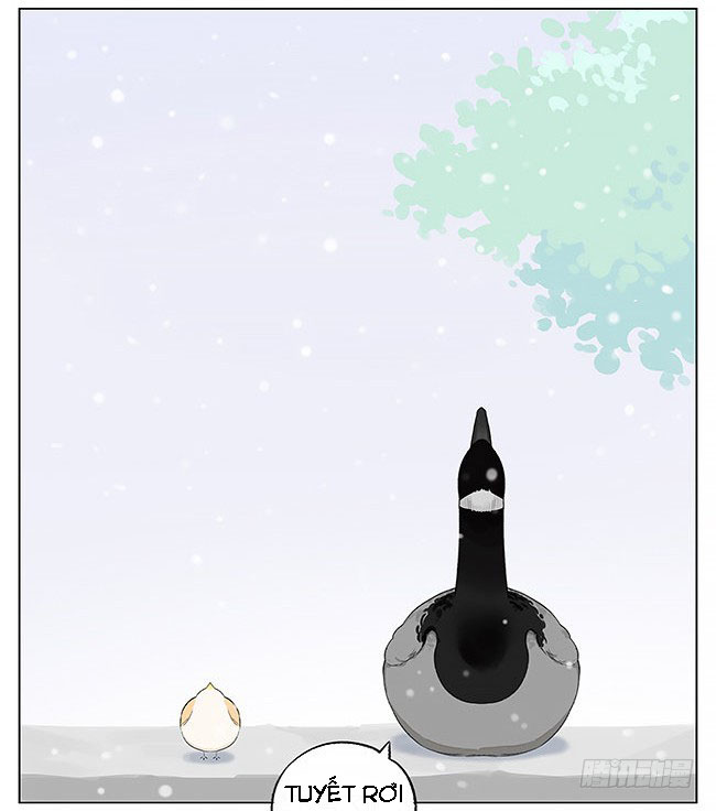 sẻ chiếu mới và nhạn phong sương chapter 5 5