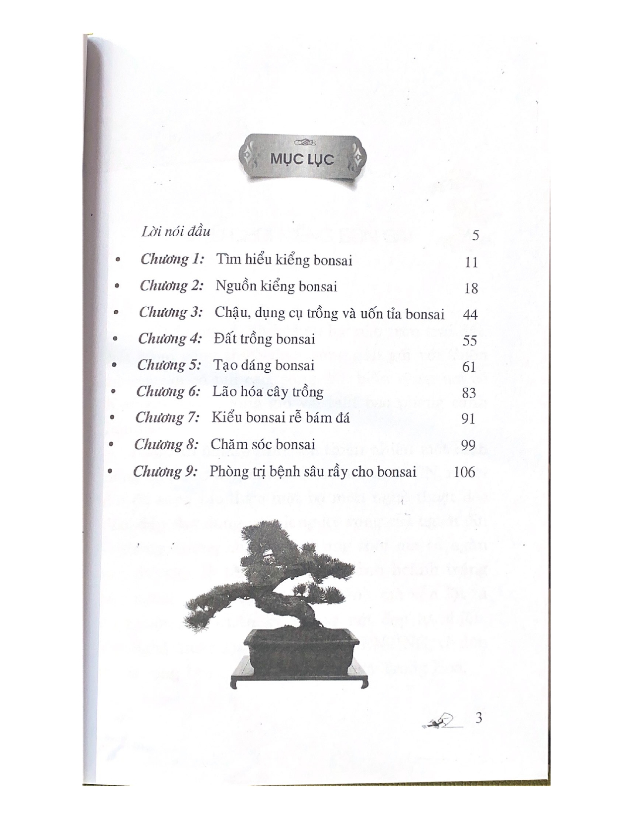 110 Câu Hỏi Đáp Chăm Sóc Và Tạo Dáng Bon Sai (Tái Bản) - Vanlangbooks