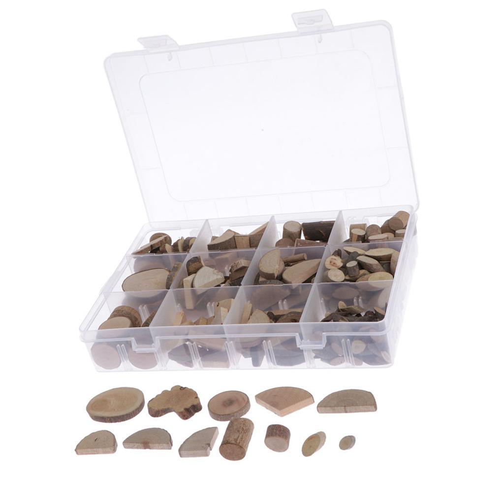 Irregular Natural Tree Wood Slices for Wedding Home Art Crafts Decoration