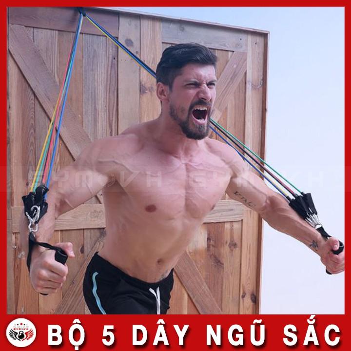 Bộ 5 Dây Ngũ Sắc Tập Gym - Full Body