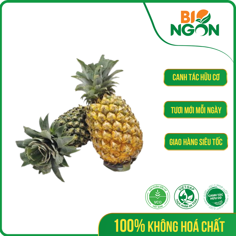 Khóm Long An Bio Ngon ( 650-750g/trái)