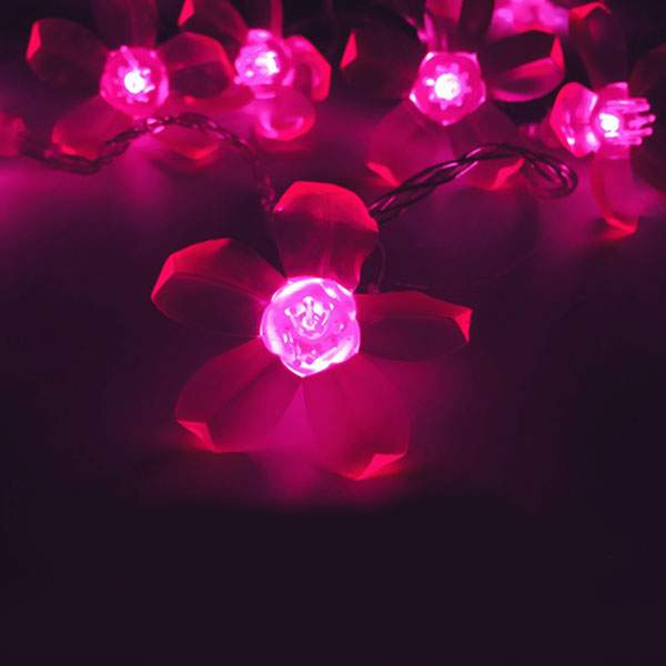 Dây Đèn Led Hoa Mai Hoa Đào 8M-60 Bóng Trang Trí Lễ, Tết ,Party