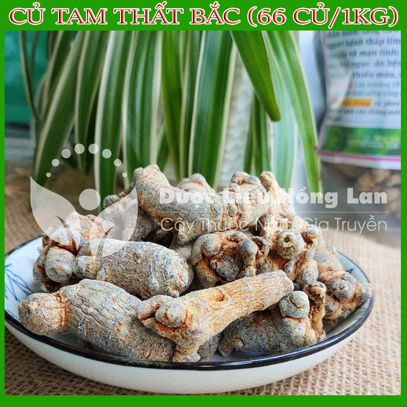 500g Củ Tam Thất Bắc loại 66 củ/1kg loại 1