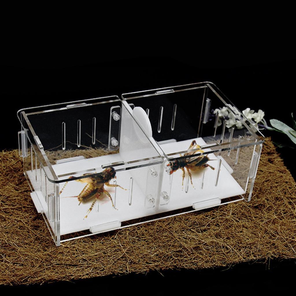 1x Reptile Cage Food Feeding Container For Spider Frog Cricket Turtle