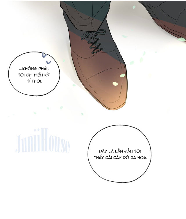 sơn thần đại nhân vẫn nhớ tôi chapter 7 38