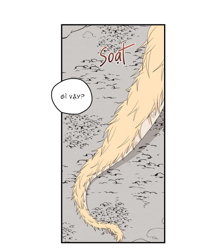 đường hoa liên kiều rơi chapter 19 66