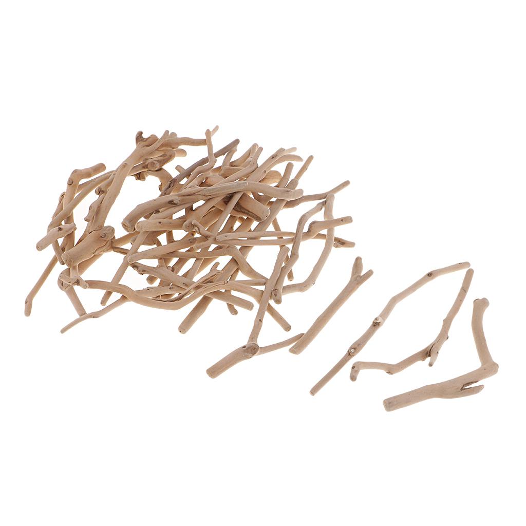 Nhánh Gỗ Tự Nhiên Dùng Trang Trí DIY Đa Năng