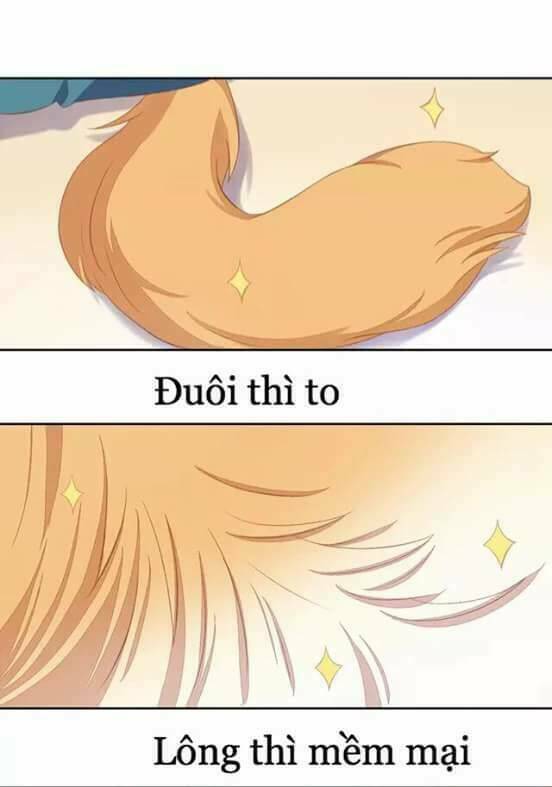 dưới móng vuốt mèo chapter 10 14