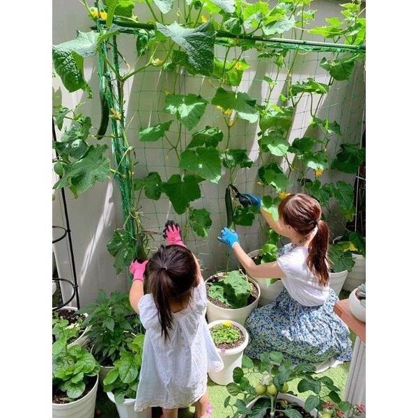 1kg Lưới làm giàn dây leo sợi kép, bền chắc cho bầu bí mướp .....