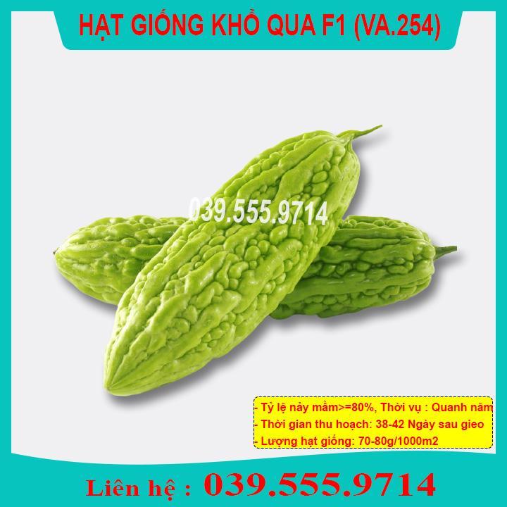 HẠT GIỐNG KHỔ QUA NẢY MẦM TỐT