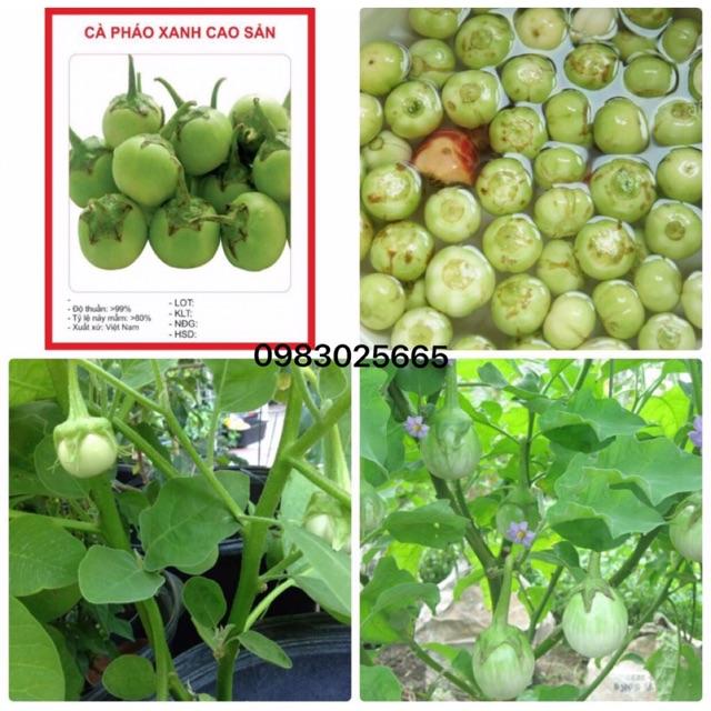 Cà pháo xanh cao sản gói 2gr và 5gr