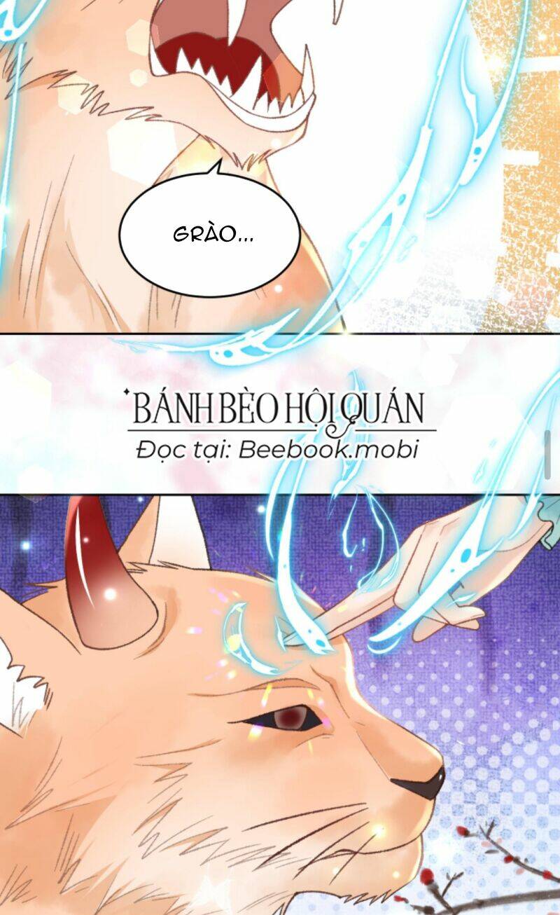 toàn tông môn đều là kẻ si tình, chỉ có ta là tỉnh táo chapter 68 17