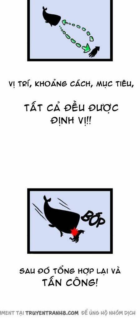 earth, human, and animal chapter 13 15