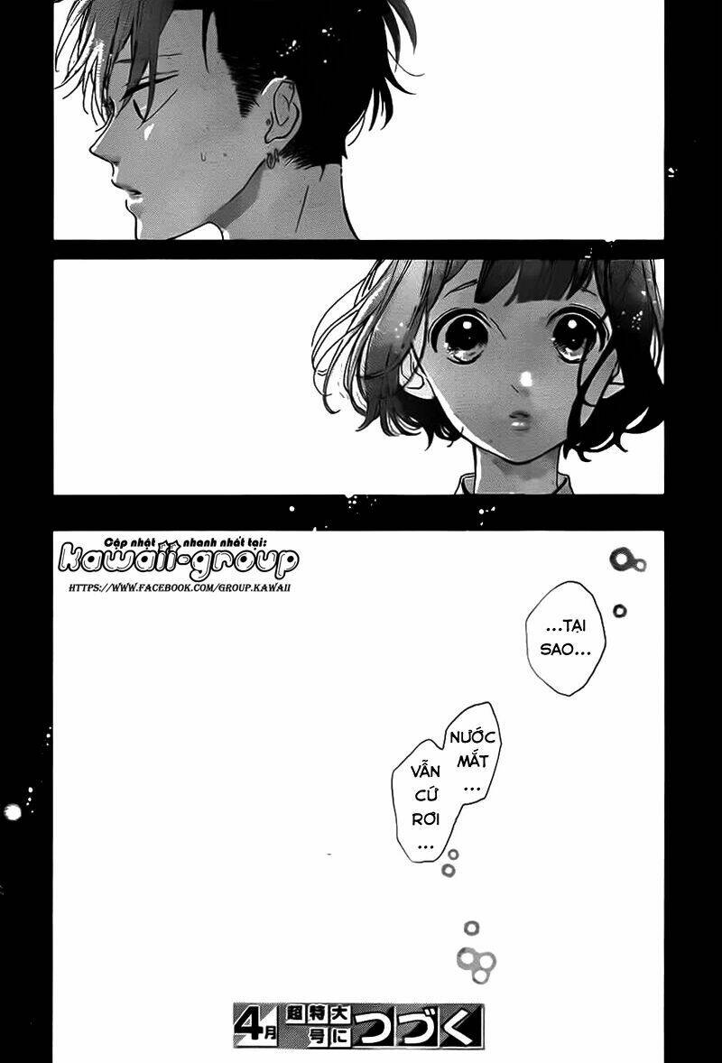 honey (meguro amu) chapter 31 39
