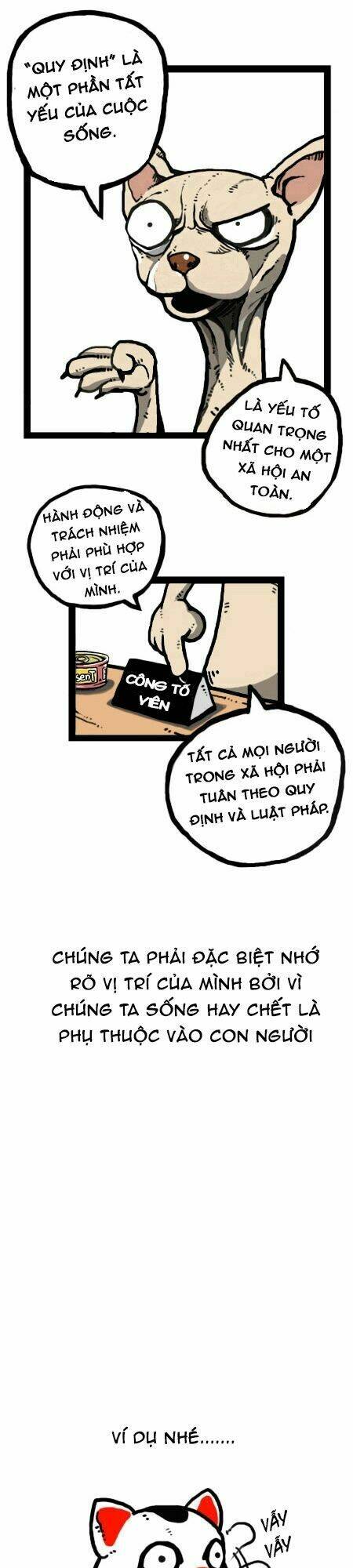 earth, human, and animal chapter 22 12