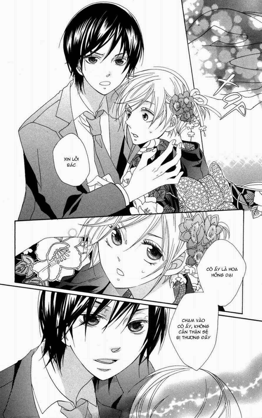 hoa hồng hoang dã chapter 1 33
