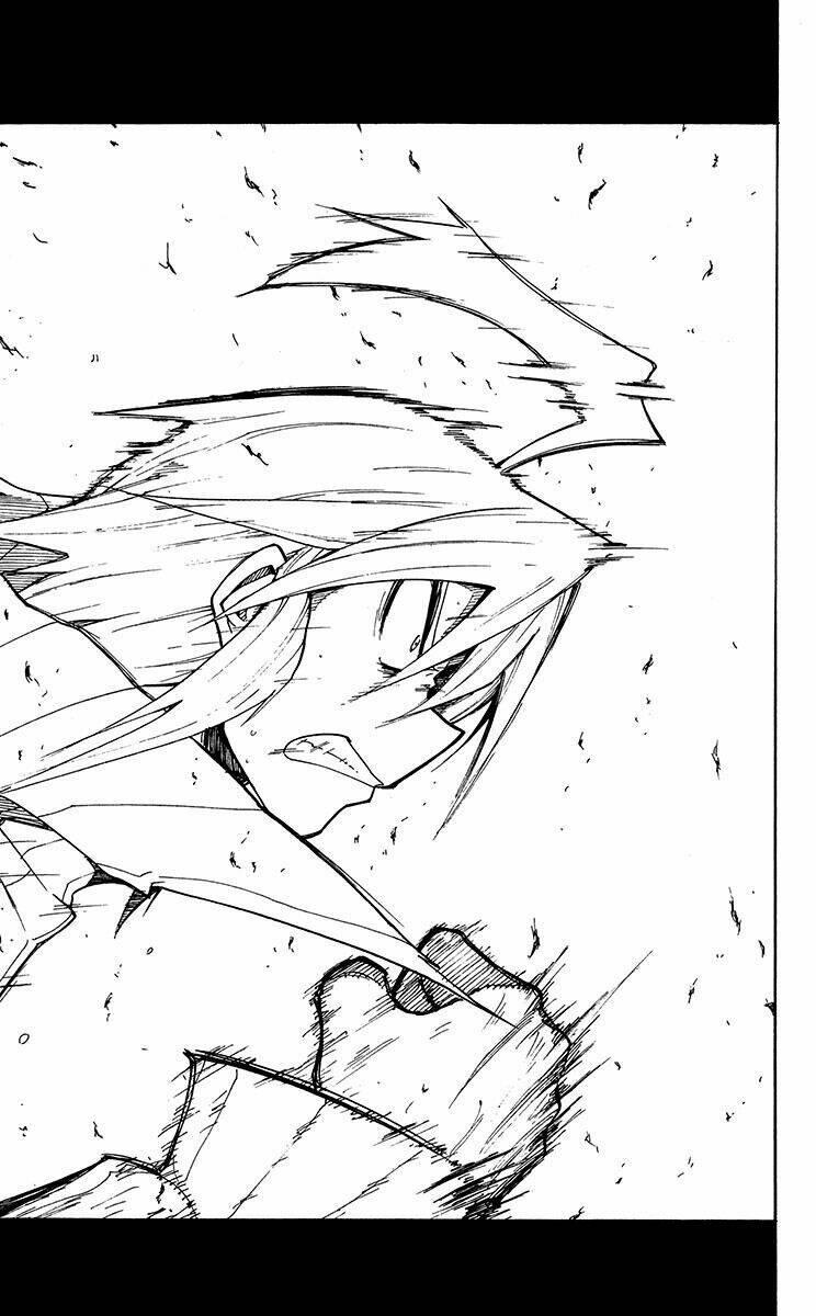 tripeace chapter 43 49