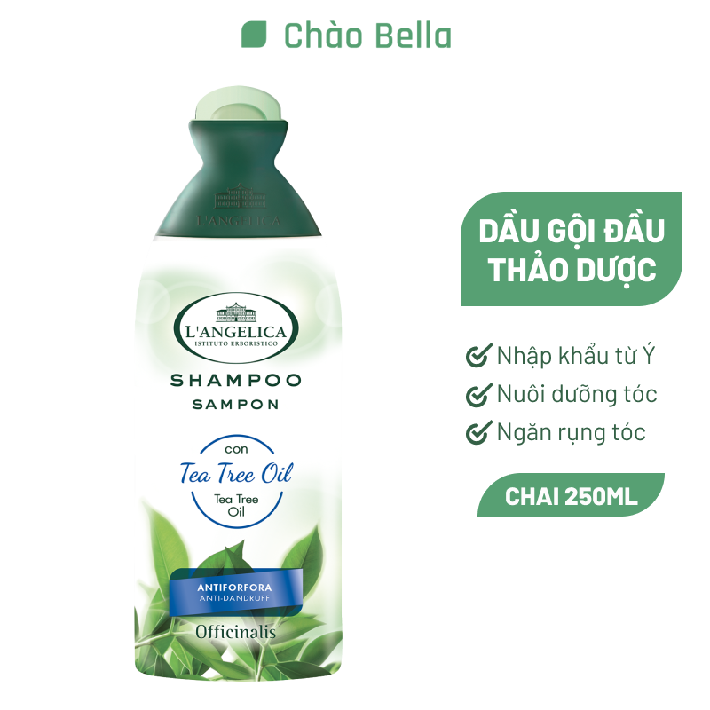 Dầu Gội Làm Sạch Gàu Từ Tinh Dầu Tràm Trà L'angelica Shampoo Tea Tree Oil Anti-dandruff 250ml