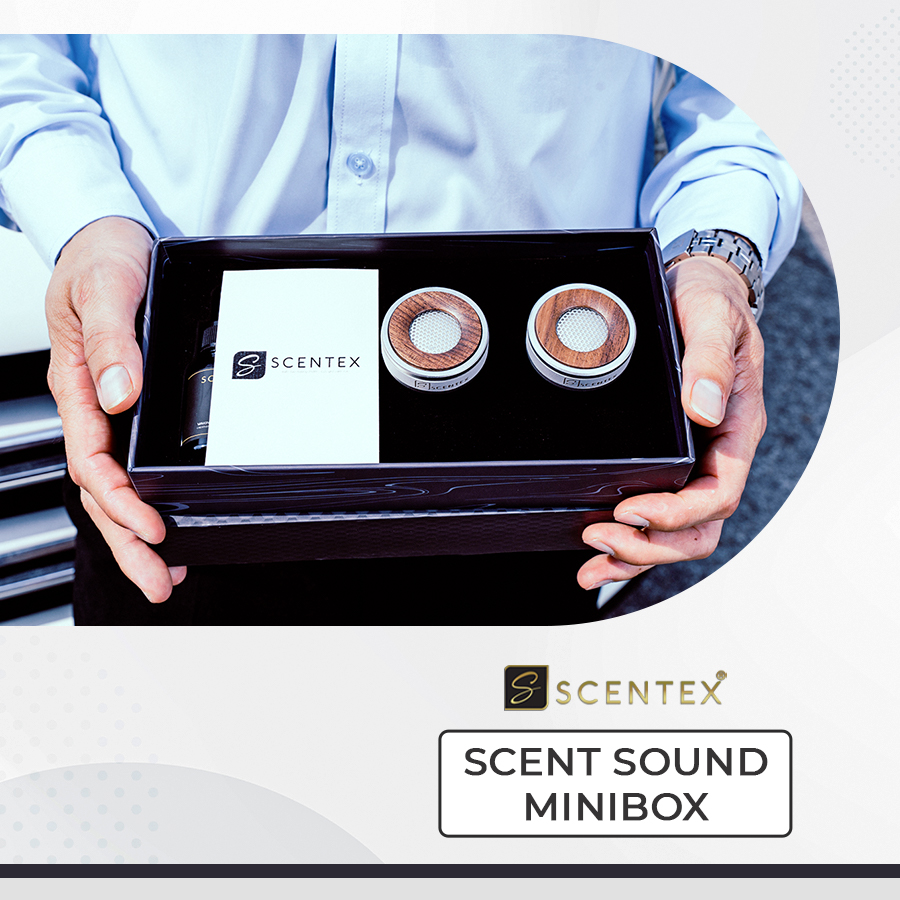 Nước hoa xe hơi cao cấp Scentex SCENT SOUND MINI BOX 100% Organic, được làm từ hợp kim kim ALUMINUM cắt CNC công nghệ cao kết hợp với Gỗ Hoàng Đàn có mùi thơm nức tự nhiên, bên trong ruột bông có thể thấm hút tinh dầu, gắn cửa gió điều hòa khuếch tán mùi hương, khử mùi, diệt khuẩn hiệt quả - Hàng Chính Hãng