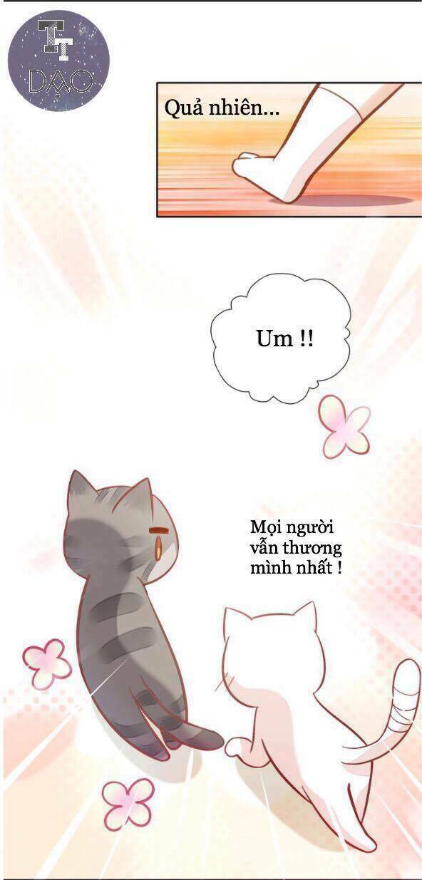 dưới móng vuốt mèo chapter 4 37