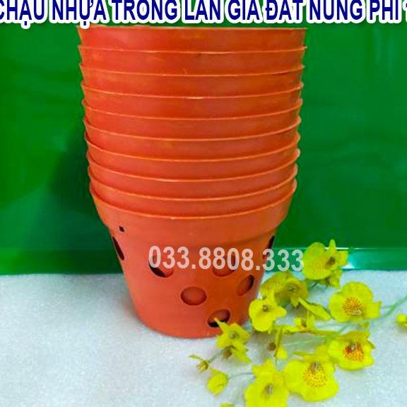 10 Chậu Nhựa Trồng Lan Giả Đất Nung Phi17 - Chậu Có Lỗ Thoát Nước