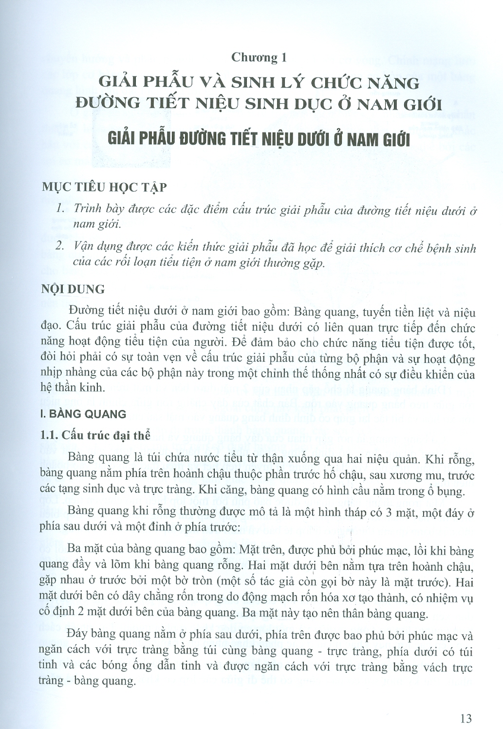 Bệnh Học Nam Học Và Y Học Giới Tính - Tập 1 (Giáo trình dùng cho đào tạo Sau đại học) - Bìa cứng