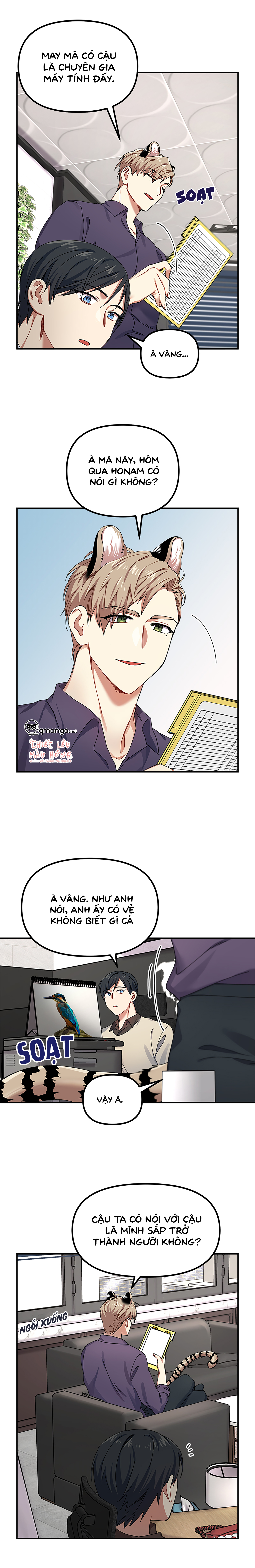 ngày cưới của ngài hổ chapter 4 12