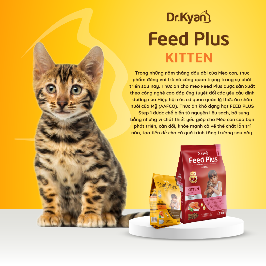 Dr.Kyan - Thức ăn hạt cho mèo nhỏ Feed Plus - Kitten 1,2Kg - Vị cá hồi