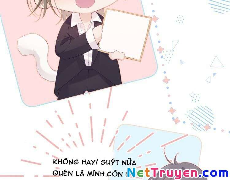 bảo vệ siêu sao của tôi chapter 87 13