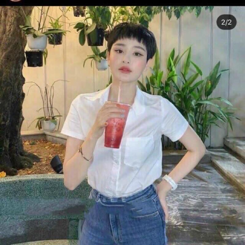 M163 Áo sơ mi Gu cộc tay