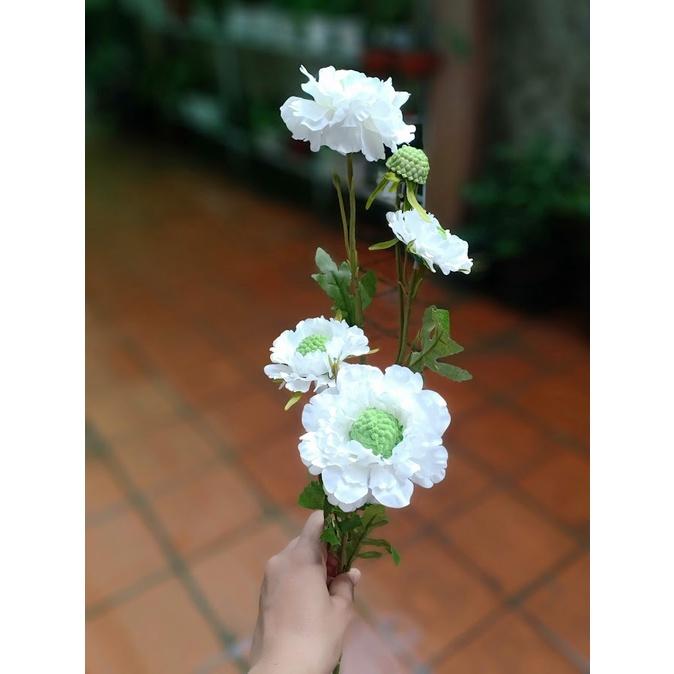 Cành cúc quả thông cao 60cm trang trí độc lạ nhập khẩu-Hoa cao cấp