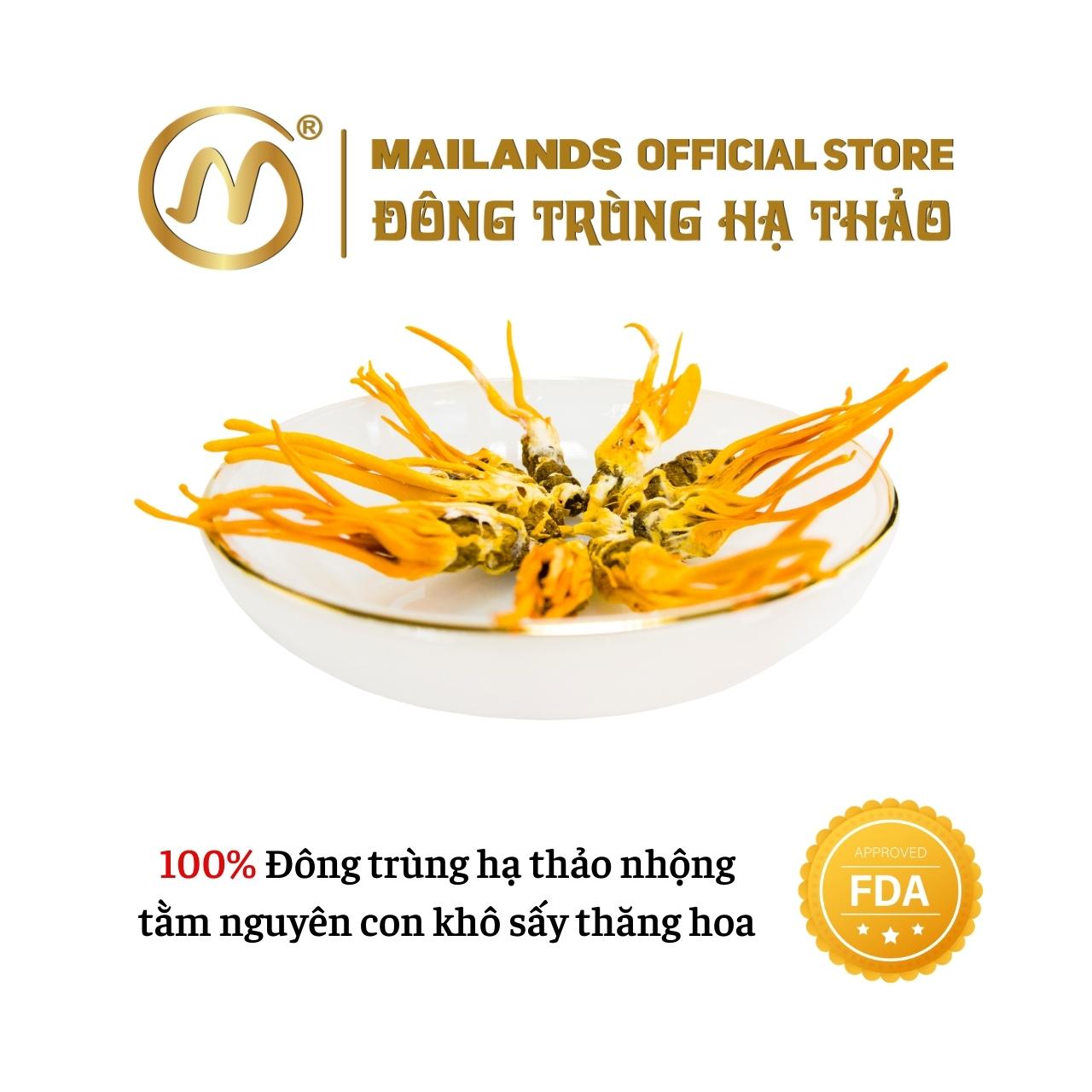 Đông Trùng Hạ Thảo Cordyceps KING