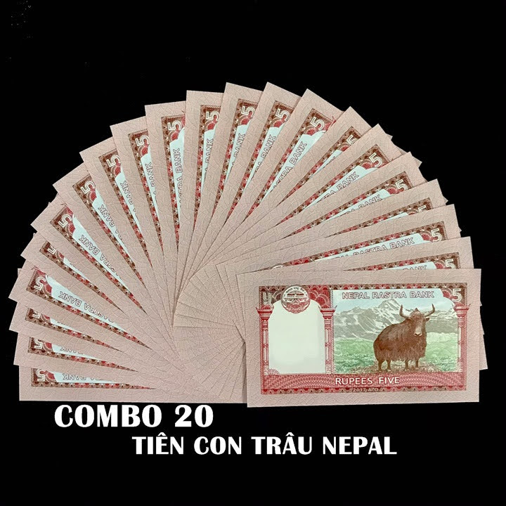 Combo 20 tờ lưu niệm hình con Trâu của Nepal, dùng để sưu tầm, lưu niệm, làm tiền lì xì độc lạ, may mắn, ý nghĩa - TMT Collection - SP005071