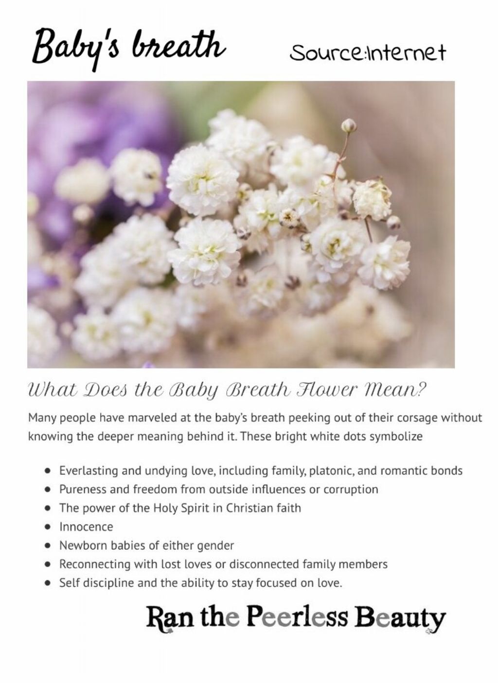 vẻ đẹp mĩ miều của ran-san chapter 3.3 17