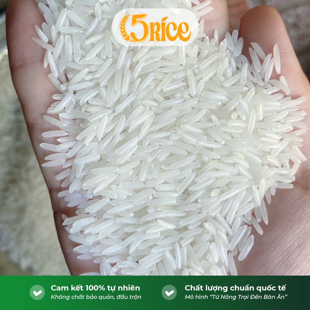 Gạo Chơn Chính ST25 - Túi 10kg - Gạo thượng hạng thơm dẻo, đậm vị 5RICE