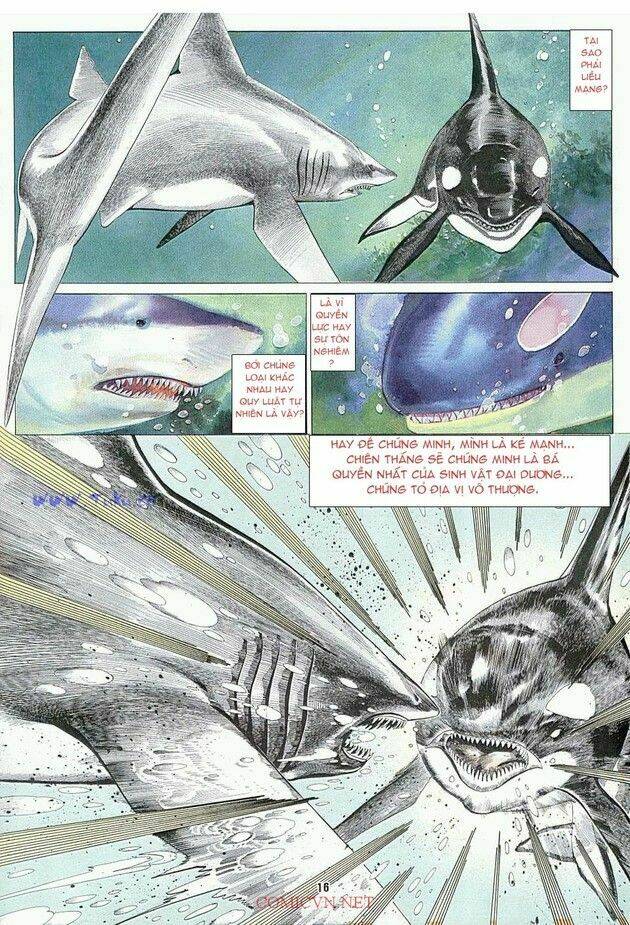 hải hổ 1 chapter 4 15