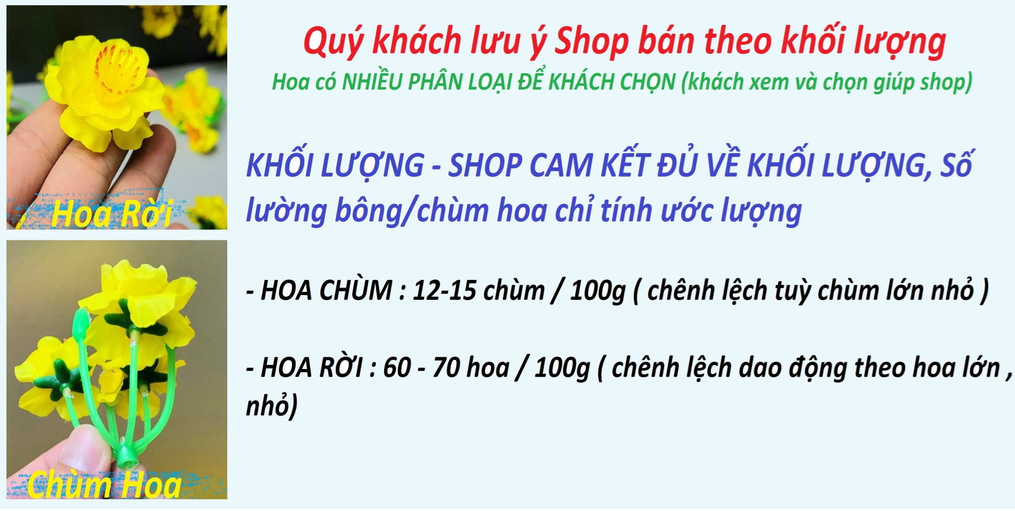 Hoa TẾT Ngày Xuân - Hoa MAI vải CHÙM , RỜI - trang trí nhà cửa , công sở - HOA TO ĐEP, SẮC SẢO - Hoa Cân Ký bán rẻ