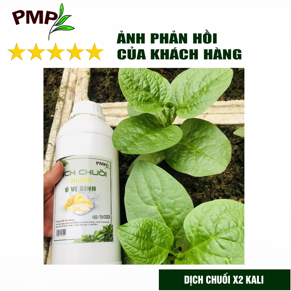 Dịch Chuối Humic PMP Vi Sinh Chuyên Dùng Cho Hoa Hồng, Hoa Lan, Rau Sạch 1000ml