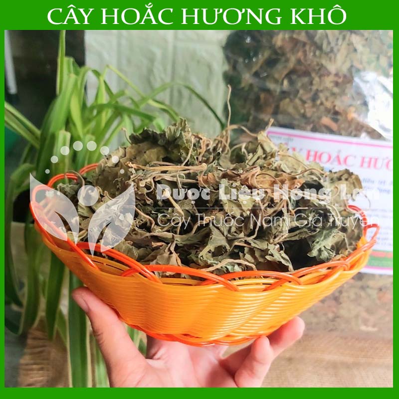 Cây hoắc hương khô sạch đóng gói 1kg