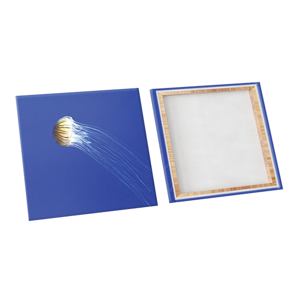 Bộ 3 Tranh Tranh Trí "Sứa Biển"- W200