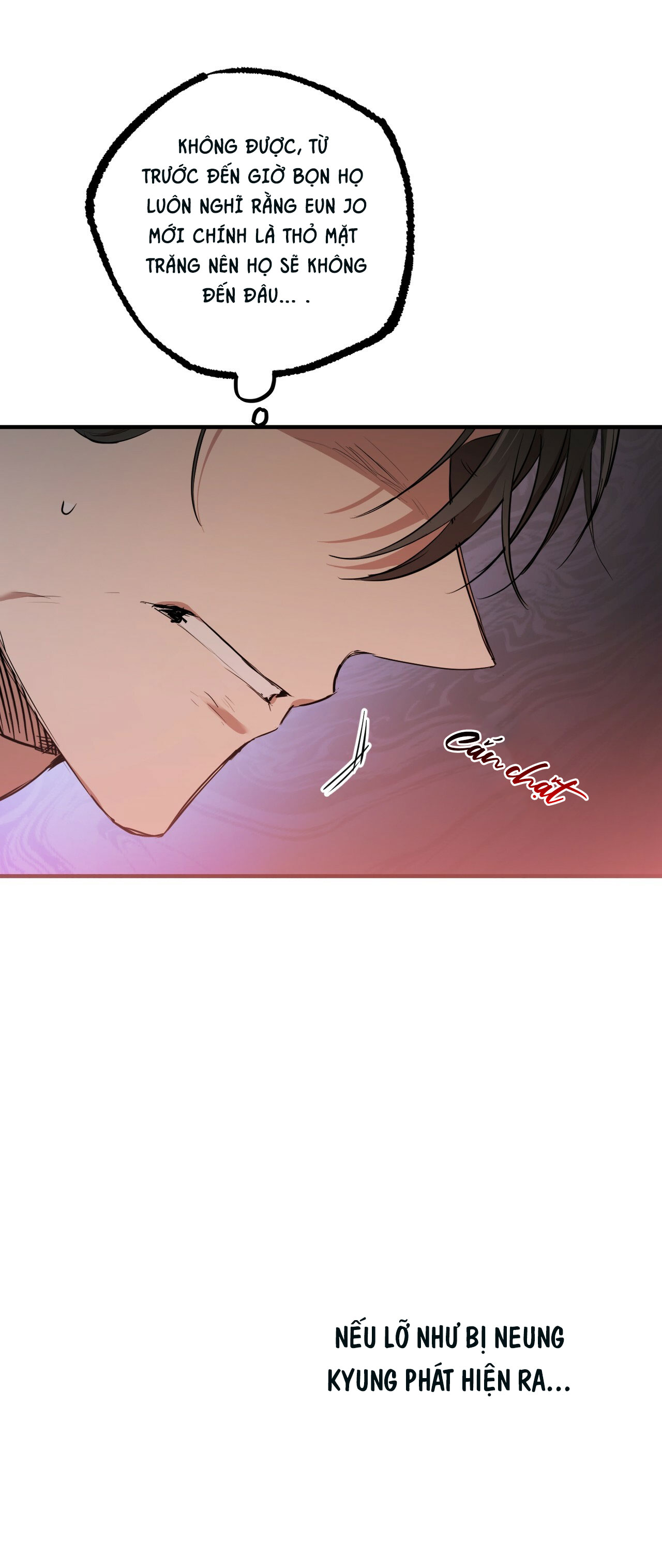 những chú thỏ của hapypy chapter 27 29