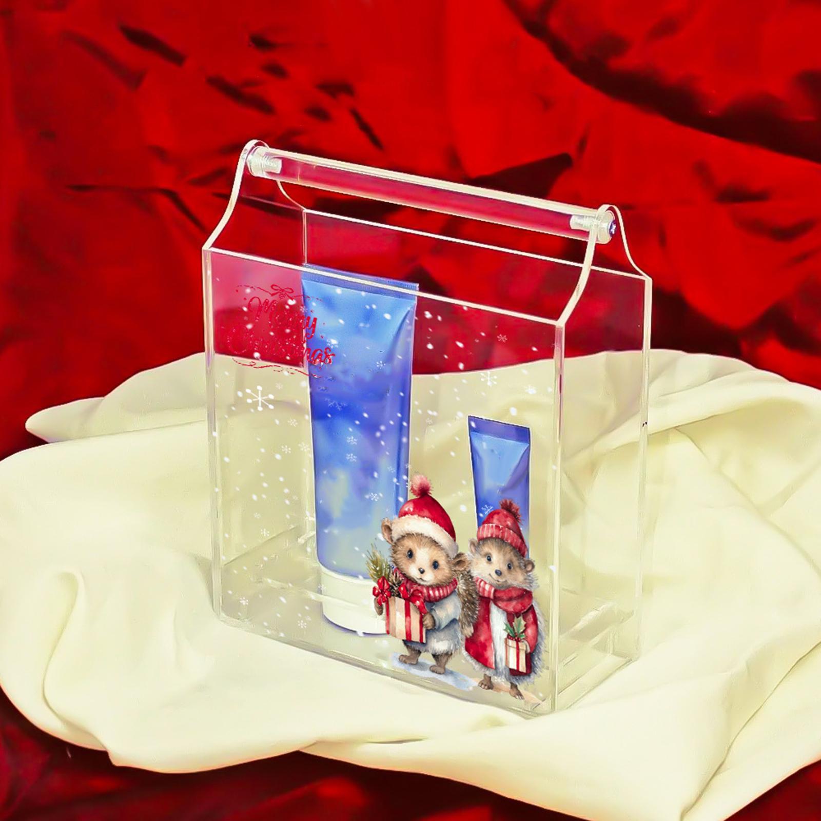 Gift Box Clear Box Decoration, Christmas Holiday Gift Box, Delicate Acrylic Storage Container for Small Collections Statues Collections Dolls