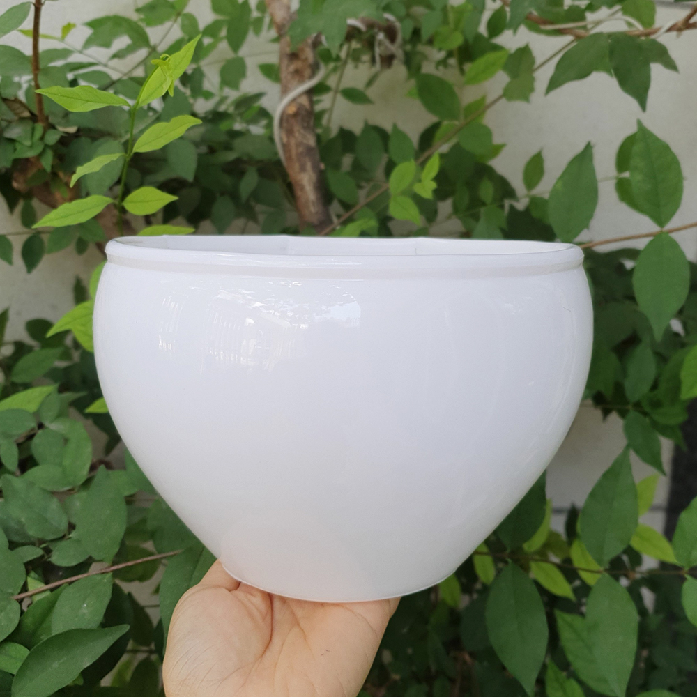 Bộ 2 chậu hoa nhựa lan bầu màu trắng 20x14cm
