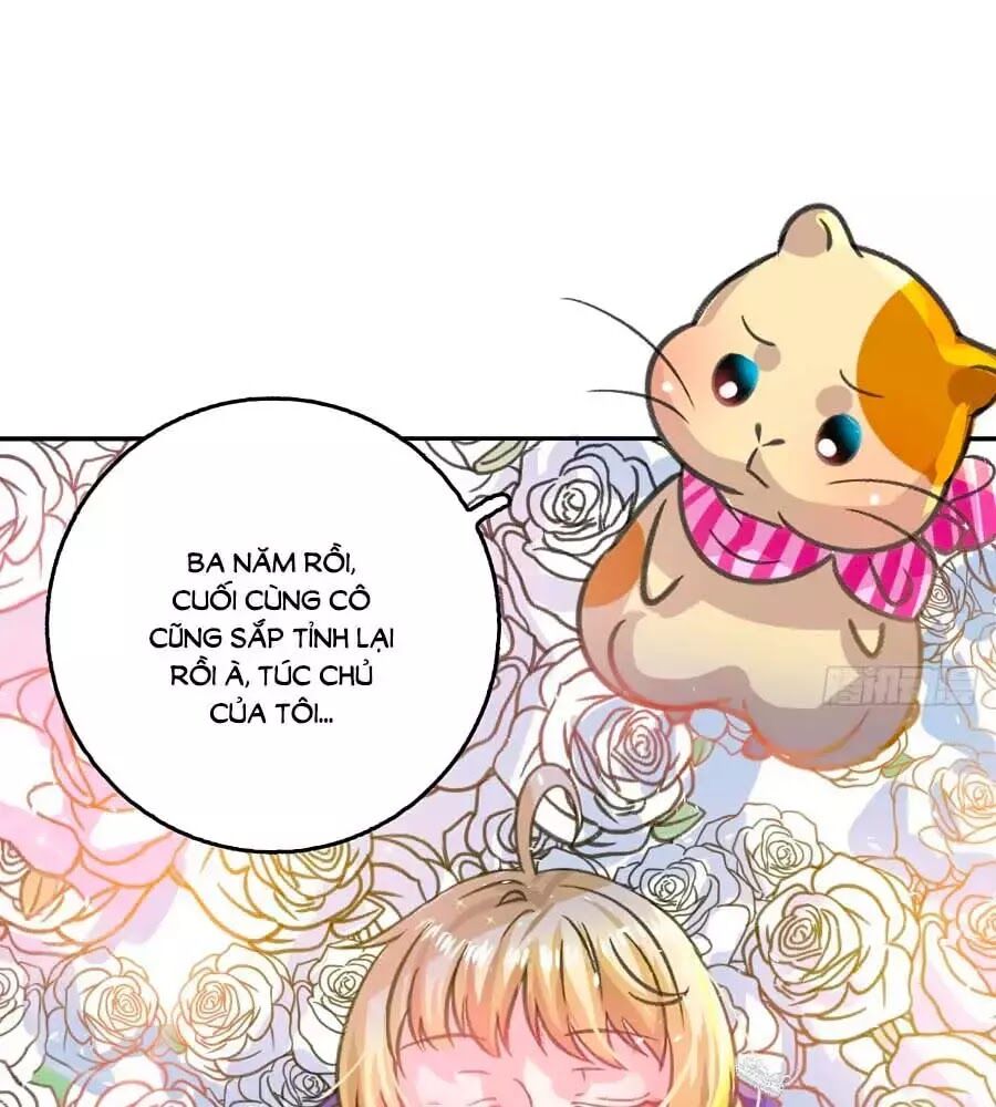 hệ thống công lược của tiểu công chúa chapter 14 38