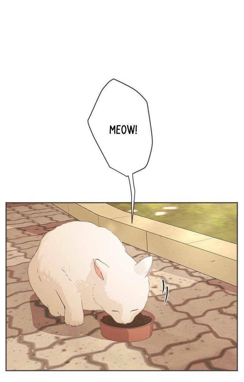 giấc mộng đêm hè chapter 1.3 3