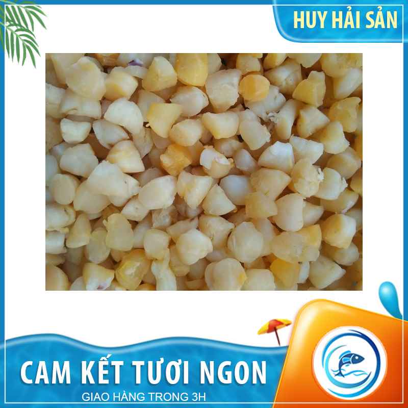 Còi sò điệp khô - Gói 500g