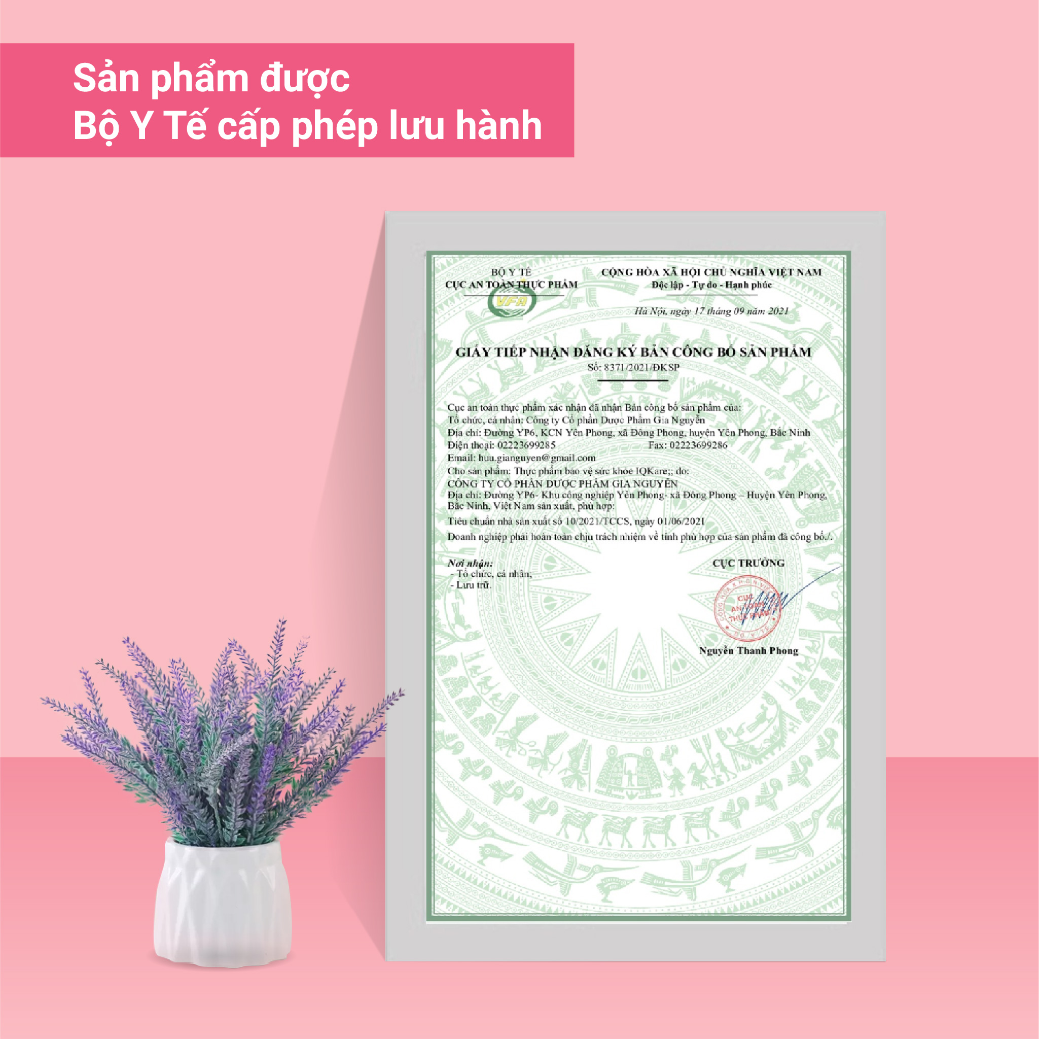 Viên uống IQKARE bổ sung Vitamin, khoáng chất cho mẹ bầu